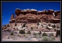 1010-CanyonL-Needles-O-DelicateA-32.jpg