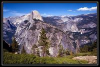 1035-Yosemite-BFall-GlacierP-Sequoia-19.jpg