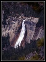 1035-Yosemite-BFall-GlacierP-Sequoia-20.jpg