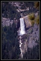 1035-Yosemite-BFall-GlacierP-Sequoia-21.jpg