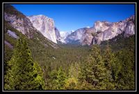 1035-Yosemite-BFall-GlacierP-Sequoia-32.jpg