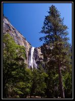 1035-Yosemite-BFall-GlacierP-Sequoia-36.jpg