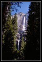 1036-Yosemite-L_UFall-Road20-18.jpg