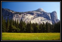 1036-Yosemite-L_UFall-Road20-20.jpg