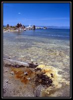 1037-Yosemite-MonoLake-04.jpg