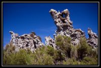 1037-Yosemite-MonoLake-05.jpg