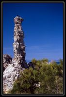 1037-Yosemite-MonoLake-06.jpg