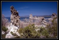 1037-Yosemite-MonoLake-07.jpg