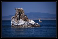 1037-Yosemite-MonoLake-10.jpg