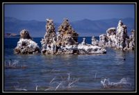 1037-Yosemite-MonoLake-16.jpg