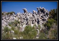 1037-Yosemite-MonoLake-20.jpg