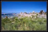 1037-Yosemite-MonoLake-22.jpg