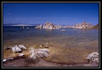 1037-Yosemite-MonoLake-26.jpg