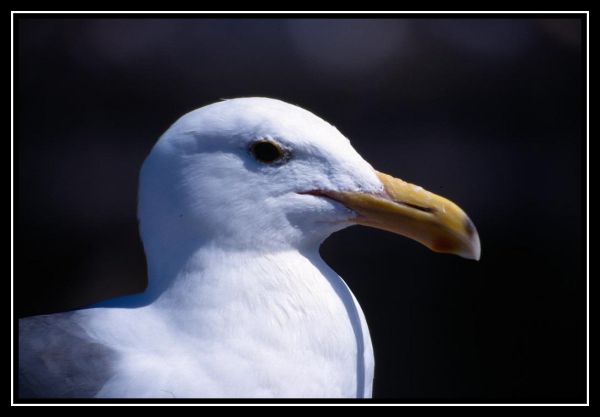 Hei klicken fir d'Bild an voller Gréisst ze gesinn
