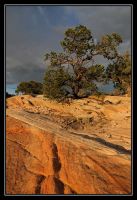Dateinumm=USA_2011_374.jpg
Gréisst vun der Datei=271KB
Dimensiounen=749x1090
Datum vum Upload=November 14, 2011 USA_2011_374.jpg