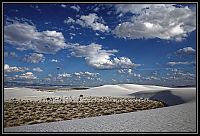 Dateinumm=2014_WEST_USA_286_redimensionner.jpg
Gréisst vun der Datei=437KB
Dimensiounen=1722x1172
Datum vum Upload=August 30, 2016 2014_WEST_USA_286_redimensionner.jpg