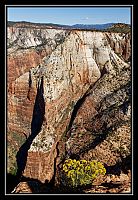 Dateinumm=2017_WEST_USA_091_redimensionner.jpg
Gréisst vun der Datei=265KB
Dimensiounen=709x1026
Datum vum Upload=Juli 29, 2019 2017_WEST_USA_091_redimensionner.jpg