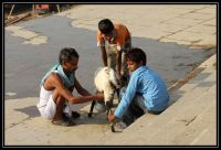 Varanasi_2010_066.jpg